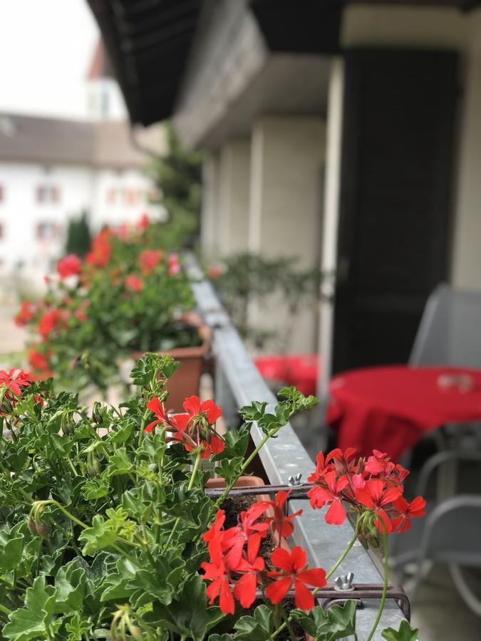 Bed And Breakfast Krone Schellenberg المظهر الخارجي الصورة